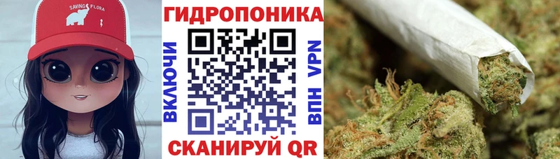 МАРИХУАНА Amnesia Цоци-Юрт